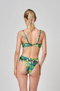 Shark Polewear Boston Shorts - Green Fern 11 Shark Polewear Boston Shorts - Green Fern -Underwear General Store 15.07.20 03139