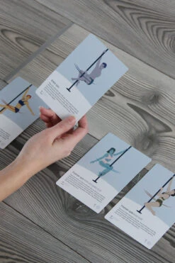 Pole Deck Duo Pack - Basic Spins & Transitions And Climb & Sits 14 Pole Deck Duo Pack - Basic Spins & Transitions And Climb & Sits -Underwear General Store 7 basic spins transitions c07467ee 2f89 432a 973d 967436ca9f7a 1