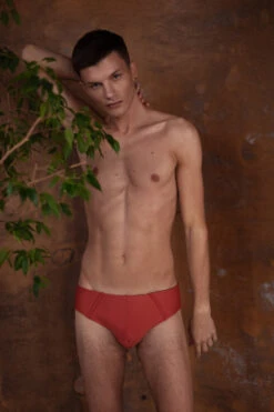 Sway Alton Shorts - Rusty Jasper