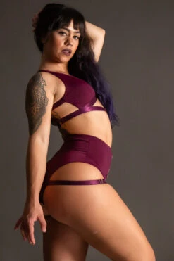 Tatiana Activewear Tokio Shorts - Wine 9 Tatiana Activewear Tokio Shorts - Wine -Underwear General Store TatianaActive TokioWineRedBurgundyHighWaistedPoleWearDancingSet 6515 ec3bf091 5fa6 4c21 aa12 b1a52f0c2a03