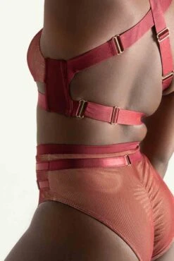 Tatiana Activewear Yuki Shorts - Burgundy Mesh -Underwear General Store TatianaActive YukiBurgundyMeshPoleWearSet 7734 1