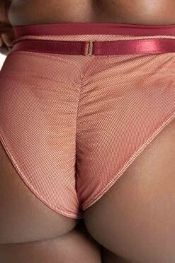 Tatiana Activewear Yuki Shorts - Burgundy Mesh -Underwear General Store TatianaActive YukiBurgundyMeshPoleWearSet 7744 1