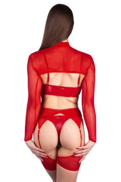 Naughty Thoughts XXX Rated See Through Garter Belt - Red -Underwear General Store XXXSinnerRedGarterback 324e8ef4 2516 4b66 bc10 a221a52ccf5b